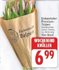 Premium-Tulpen von Eickenhofer im aktuellen E center Prospekt