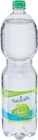 Wasser mit Geschmack im Angebot bei Netto Marken-Discount in Dessau-Roßlau Wasser mit Geschmack Angebote von Naturalis bei Netto Marken-Discount Dessau-Roßlau für 0,45 €