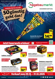 Hagebaumarkt Prospekt: "So günstig geht das!", 4 Seiten, 29.12.2025 - 31.12.2025