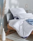 Aktuelle Bettdecke Angebote bei Sconto SB in Paderborn Aktuelles Kopfkissen Grönland Angebot bei Sconto SB in Paderborn ab 29,99 €