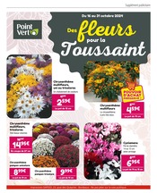 Prospectus Point Vert à Castets-en-Dorthe, "Des fleurs pour la Toussaint", 4 pages de promos valables du 16/10/2024 au 31/10/2024