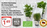 Bio Kräutertopf Basilikum im Angebot bei GLOBUS in Hoyerswerda Bio Kräutertopf Basilikum Angebote von GLOBUS HierZuhliebe bei GLOBUS Hoyerswerda für 1,49 €