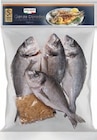 Ganze Doraden im Lidl Prospekt Ganze Doraden von Italiamo im aktuellen Lidl Prospekt für 9,99 €