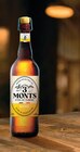 Bière Blonde à Intermarché Super dans Montgaillard