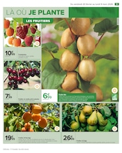 Plantes Angebote im Prospekt "JARDIN LÀ OÙ LA VIE SE CULTIVE" von Carrefour auf Seite 11