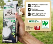 Frische Vollmilch Angebot in Lübben (Spreewald) im aktuellen Prospekt bei REWE in Lübben (Spreewald)