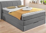 Boxspringbett von  im aktuellen Polstermöbel Fischer Prospekt für 799,00 €
