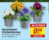 Hornveilchen/Stiefmütterchen Angebote bei toom Baumarkt Kamen für 0,69 €