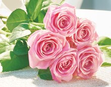 5 roses - Carrefour Market à Lille 5 roses en promo chez Carrefour Market Lille à 3,99 €