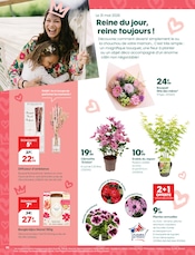 Promos Jardinage dans le catalogue "Pépites !" de Truffaut Jardinage en promo dans le catalogue Truffaut à la page 2