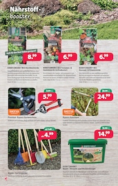 Aktueller Kiebitzmarkt Prospekt mit Bio, "Auf die "Beet" fertig los!", Seite 2