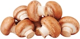 Braune Bio Champignons Angebote von REWE Bio bei REWE Heidelberg für 1,79 €