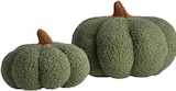 Coussins décoratifs - LIVARNO home dans le catalogue Lidl
