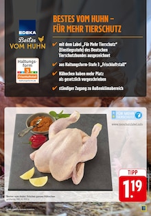 Hähnchen im aktuellen EDEKA Prospekt (Pforzheim) Hähnchen im EDEKA Prospekt "Aktuelle Angebote" mit 51 Seiten (Pforzheim)