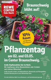 Aktueller REWE Supermarkt Prospekt in Braunschweig und Umgebung, "Dein Markt" mit 40 Seiten, 28.04.2025 - 03.05.2025