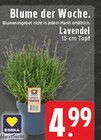 EDEKA Heinsberg Prospekt mit  im Angebot für 4,99 €