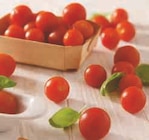Tomate cerise - U en promo chez Hyper U Reims à 1,59 €