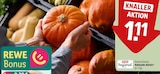 Hokkaido Kürbis bei REWE im Prospekt "" für 1,11 €