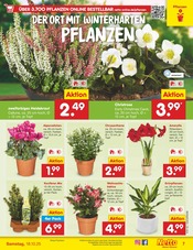 Aktueller Netto Marken-Discount Prospekt mit Mixer, "Aktuelle Angebote", Seite 7