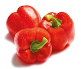 Netto mit dem Scottie Klein Nordende - Paprika rot Angebot im Prospekt Paprika rot bei Netto mit dem Scottie im Klein Nordende Prospekt für 2,29 €