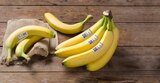 Bio Bananen Angebote von REWE Bio bei REWE Sankt Augustin für 1,79 €