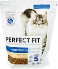 Katzen-trockennahrung im Angebot bei Netto Marken-Discount in Kaiserslautern Katzen-trockennahrung Angebote von Perfect Fit bei Netto Marken-Discount Kaiserslautern für 2,99 €