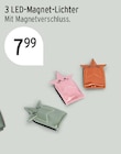 LED-Magnet-Lichter für 7,99 € bei E center im Angebot LED-Magnet-Lichter im aktuellen E center Prospekt