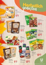 Gulasch Angebot im aktuellen Selgros Prospekt auf Seite 9