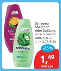 Shampoo von Schauma für 1,49 € bei budni im Angebot Shampoo von Schauma im aktuellen budni Prospekt