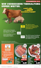 Hackfleisch im Kaufland Prospekt in Reutlingen Aktueller Kaufland Prospekt mit Hackfleisch, "Aktuelle Angebote", Seite 23