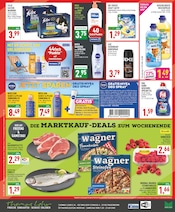 Katzenfutter im Marktkauf Prospekt in Paderborn Aktueller Marktkauf Prospekt mit Katzenfutter, "Aktuelle Angebote", Seite 16
