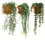 Foire a la plante artificielle dans le catalogue Super U