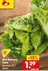 Aktuelle Salat Angebote bei Netto Marken-Discount in Köln Aktuelles Mini-Romana Salat Angebot bei Netto Marken-Discount in Köln ab 1,29 €