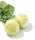 Kohlrabi im aktuellen Netto mit dem Scottie Prospekt