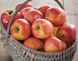 Pomme à Intermarché dans Sévignac