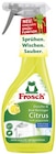 Spiritus Glas-Reiniger im Angebot bei REWE in Bad Salzuflen Spiritus Glas-Reiniger Angebote von Frosch bei REWE Bad Salzuflen für 1,79 €