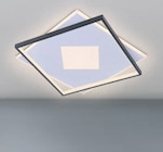 Aktuelles Deckenleuchte Gina Angebot bei toom Baumarkt in Frankfurt (Main) ab 69,99 €