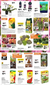 Aktueller OBI Prospekt "AB INS WASSER - DEIN GARTEN. DEIN SOMMER." Aktueller OBI Prospekt