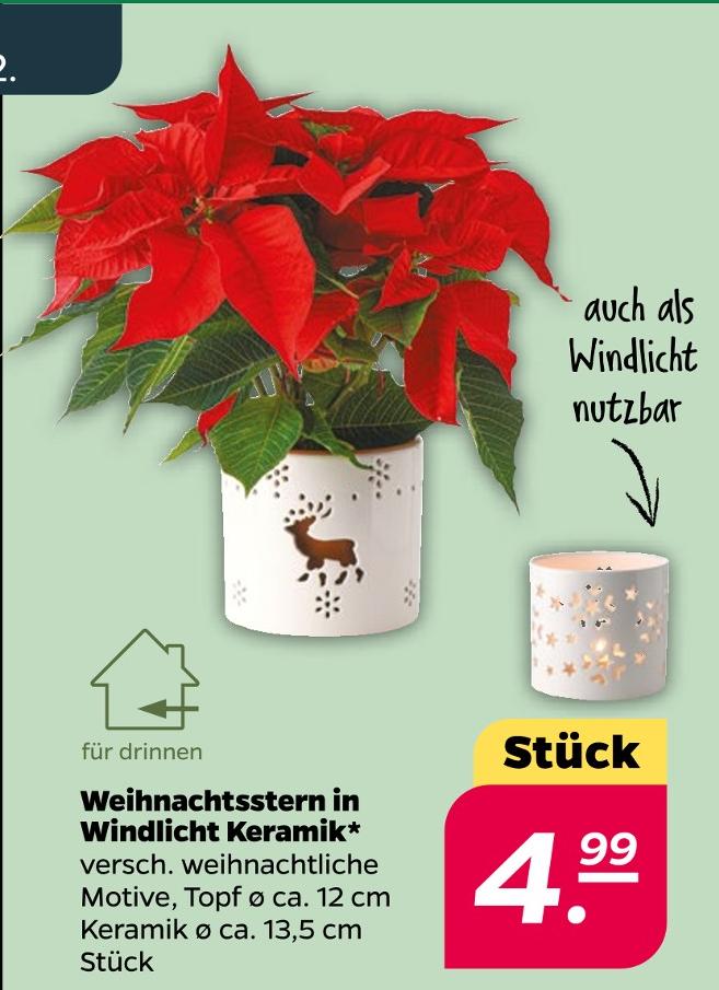 Weihnachtsstern in Windlicht Keramik
