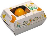 Bunte Bio Eier im Angebot bei REWE in Hanau Bunte Bio Eier Angebote von Westerwald bei REWE Hanau für 2,49 €