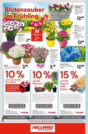 Aktueller Hellweg Prospekt mit Kissen, "Wunderschne Blütenpracht", Seite 16