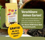 Einkaufs-Gratis Angebote bei REWE Bergisch Gladbach