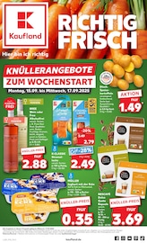 Aktueller Kaufland Velbert Prospekt "KNÜLLER" mit 59 Seiten