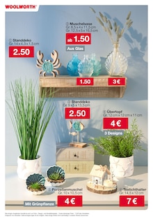 Blumen im Woolworth Prospekt "Aktuelle Angebote" mit 55 Seiten (Stuttgart)
