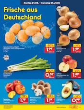 Champignons im Netto Marken-Discount Prospekt in Rostock Aktueller Netto Marken-Discount Prospekt mit Champignons, "Aktuelle Angebote", Seite 11