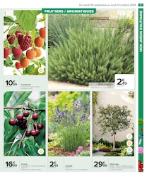 Offre Plantes dans le catalogue Carrefour du moment à la page 9