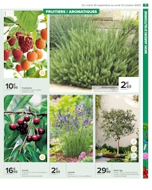 Promo Laurier dans le catalogue Carrefour du moment à la page 9