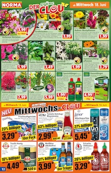 Norma Prospekt der aktuellen Woche, gĂĽltig von 16.06.2025 bis 21.06.2025 Aktueller Norma Prospekt "Mehr fĂĽrs Geld" mit 19 Seiten