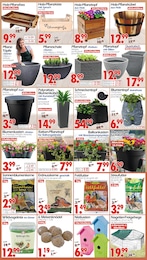 Wreesmann Blumenkübel im Prospekt Wreesmann Blumenkübel im Prospekt