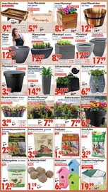 Aktueller Wreesmann Prospekt mit Tierfutter, "DEIN SAISON- & SONDERPOSTENMARKT!", Seite 6